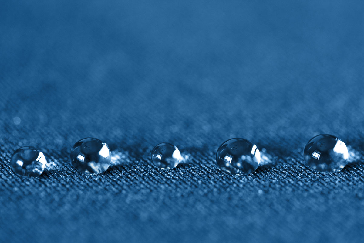 Banner Image 1